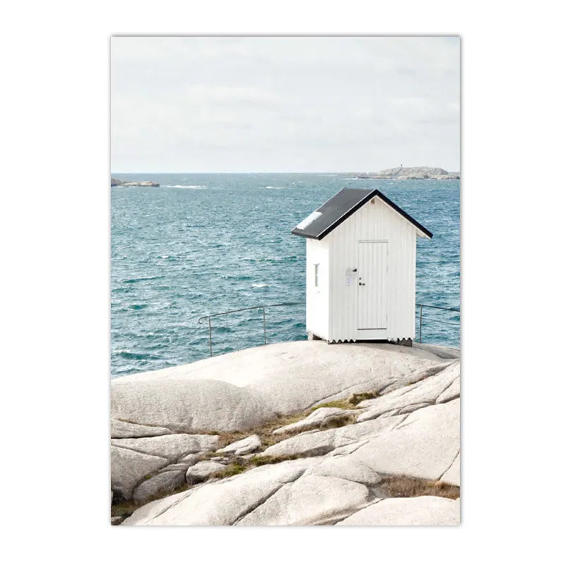 Ocean Beach Seagull & Starfish Canvas Print