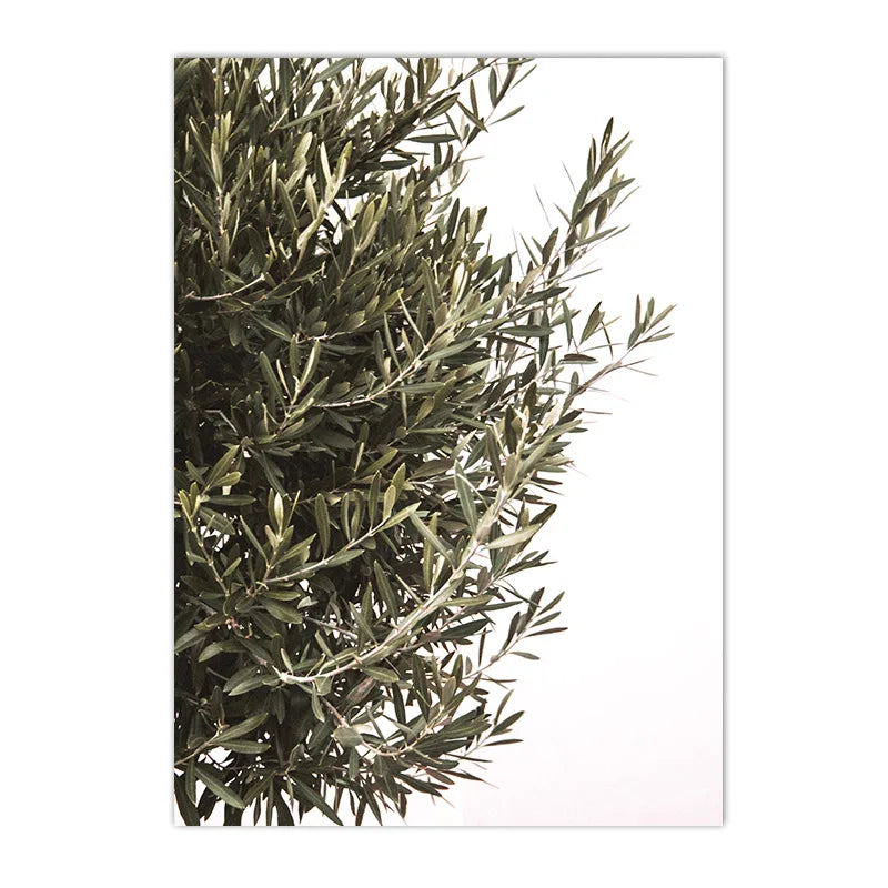 Puglia landscape with olive trees and ancient buildings canvas wall art