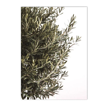 Puglia landscape with olive trees and ancient buildings canvas wall art