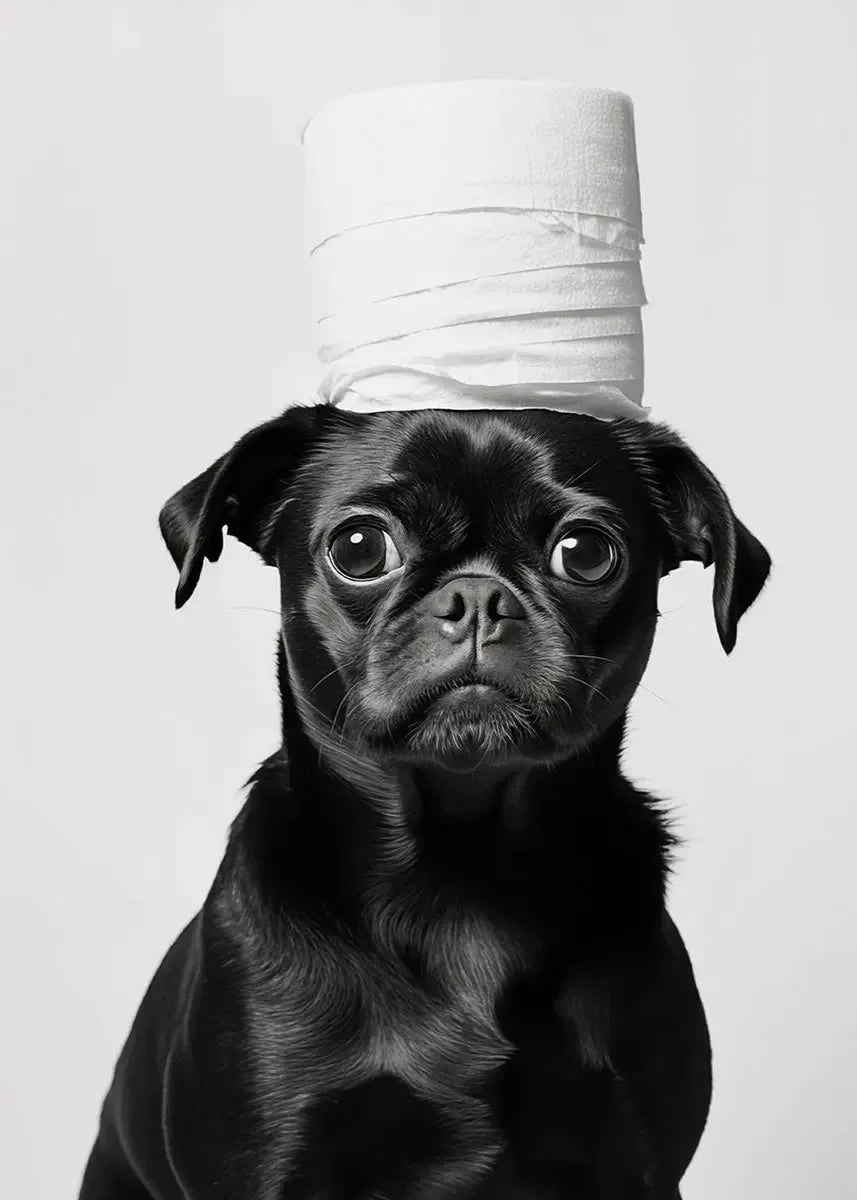 Funny Animal Bathroom Canvas Print