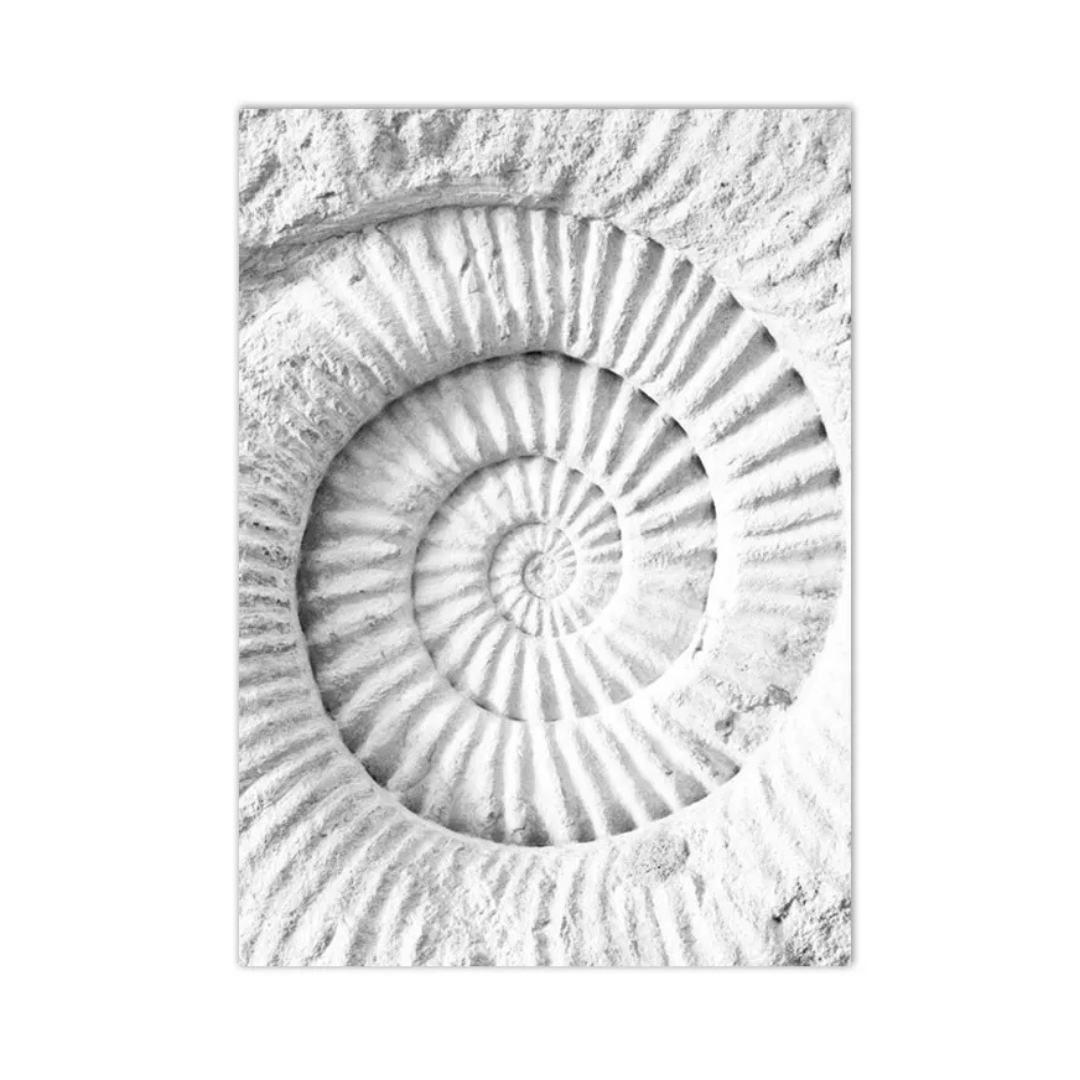 Ancient Spiral Fossil Canvas Print
