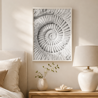 Ancient Spiral Fossil Canvas Print