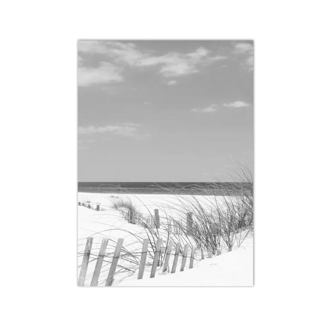 Coastal Dune Path Canvas Print