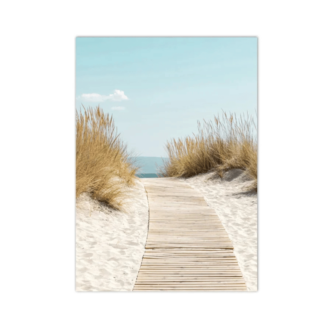 Boardwalk Through the Dunes Canvas Print