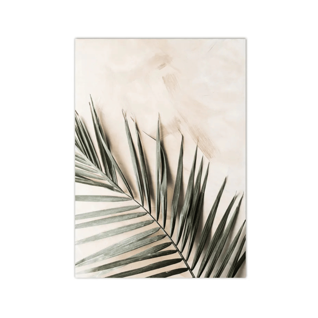 Palm Shadow Botanical Canvas Print