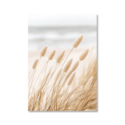 Soft Dune Grass Canvas Print