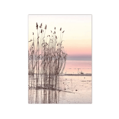 Blush Reed Sunset Canvas Print