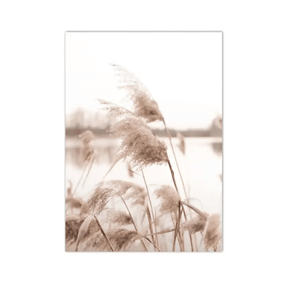 Soft Reed Plumes Canvas Print