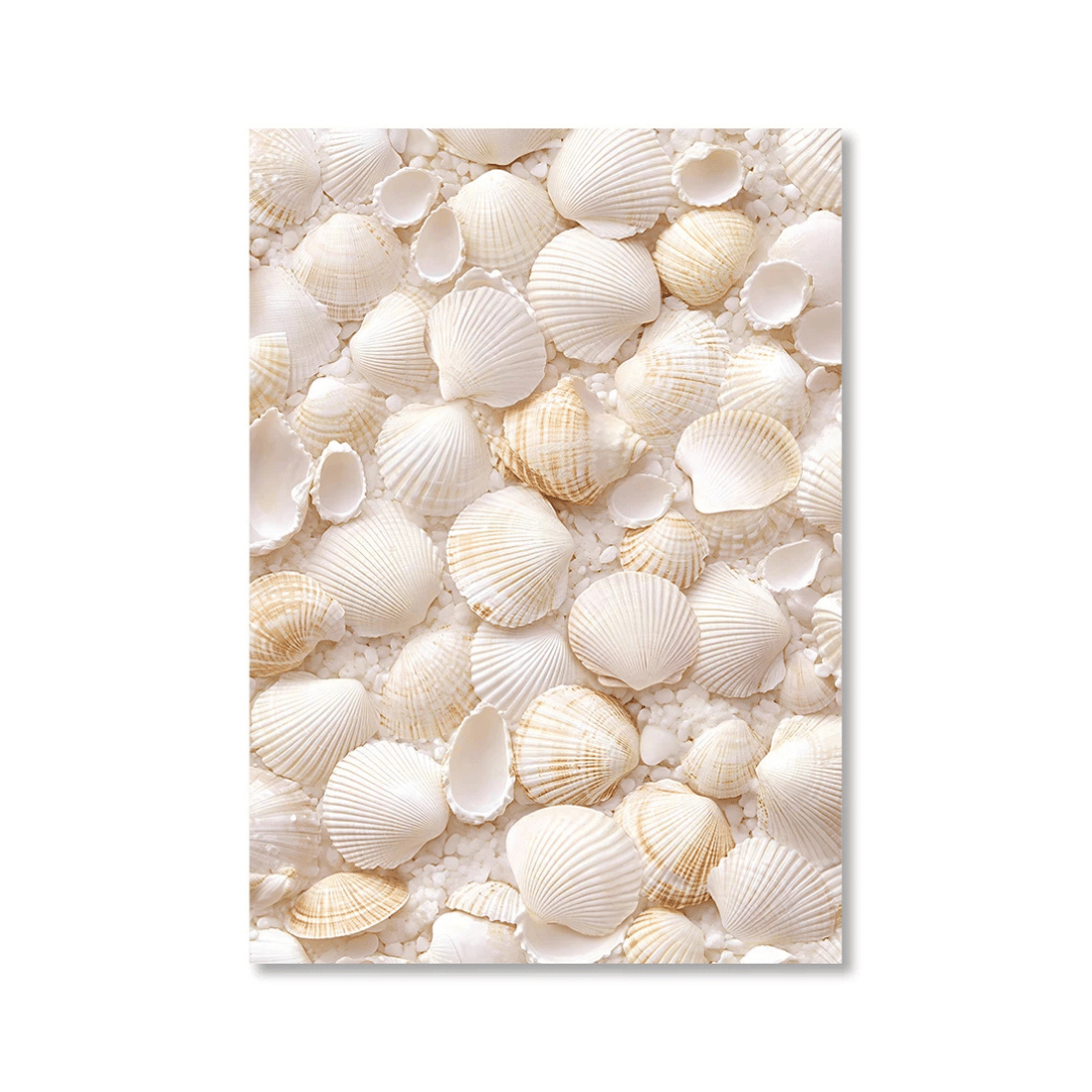 Ivory Seashell Collection Canvas Print