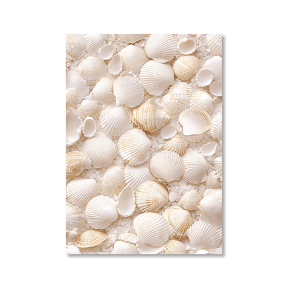 Ivory Seashell Collection Canvas Print