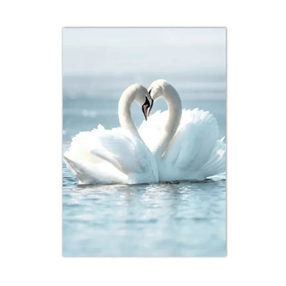 Swanheart Waters Canvas Print