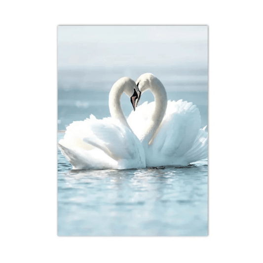 Swanheart Waters Canvas Print