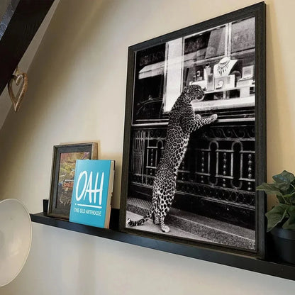 Black & White Fashion Leopard Canvas