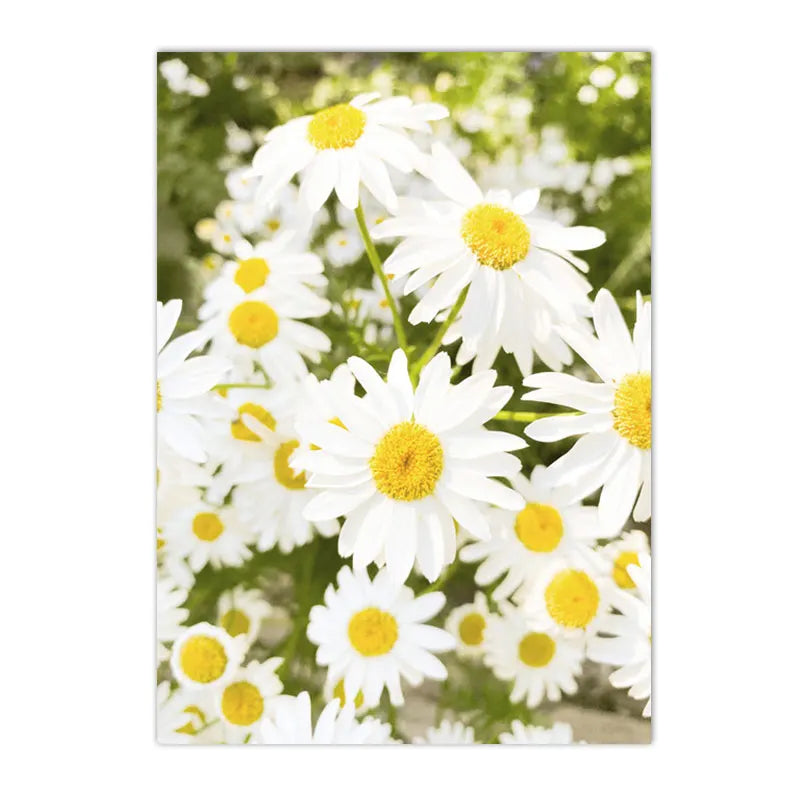 spring landscape with daisies lemons and bike canvas wall art