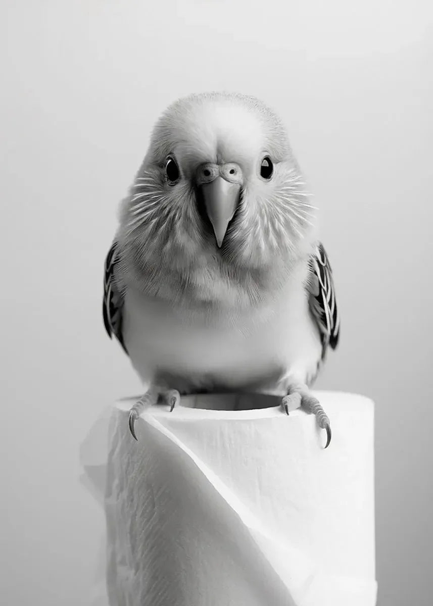 Funny Animal Bathroom Canvas Print