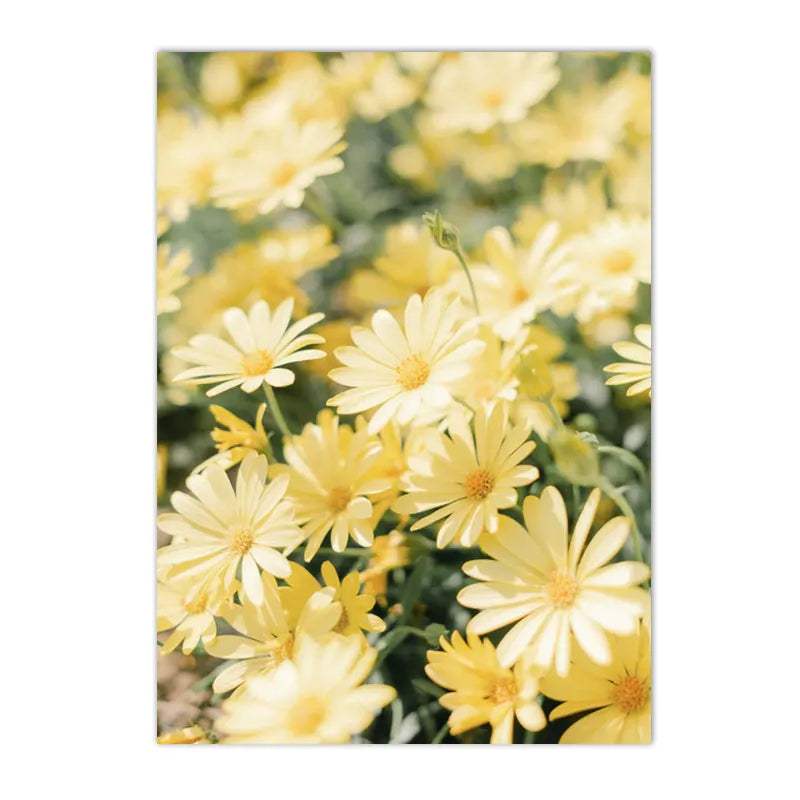 spring landscape with daisies lemons and bike canvas wall art