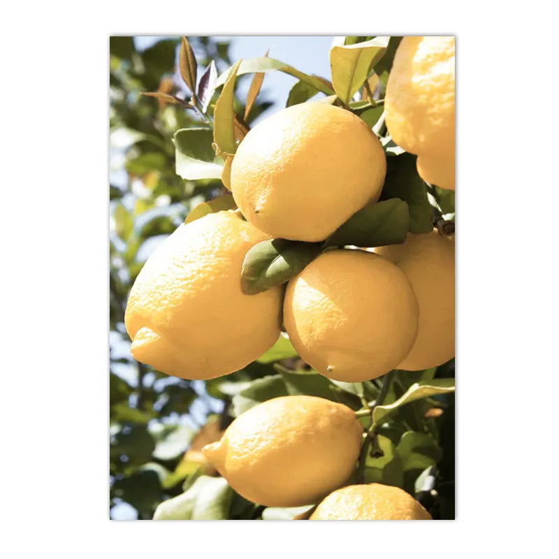 spring landscape with daisies lemons and bike canvas wall art