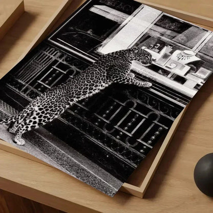 Black & White Fashion Leopard Canvas
