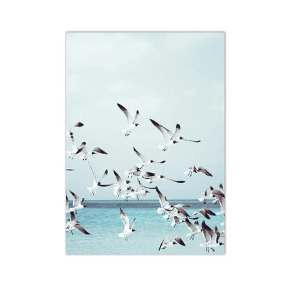 Seagulls Over Turquoise Waters Canvas Print
