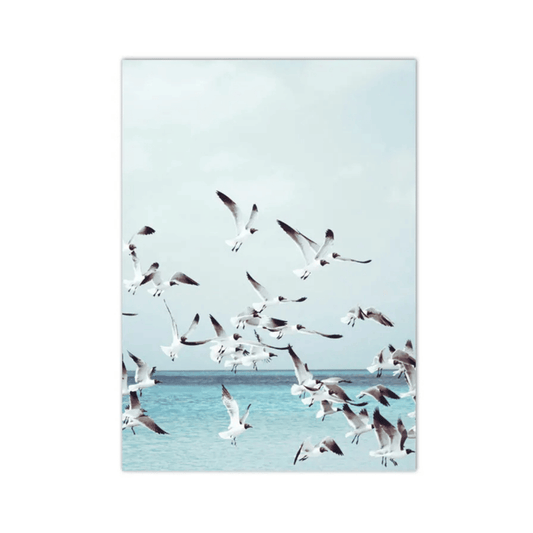 Seagulls Over Turquoise Waters Canvas Print