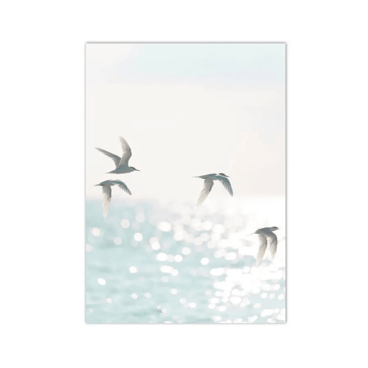 Sunlit Flight Coastal Canvas Print