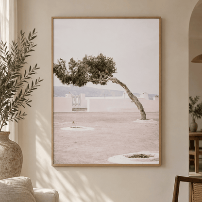 Windswept Mediterranean Tree Canvas Print