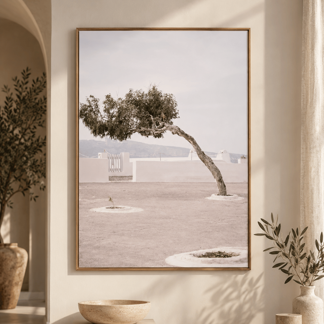Windswept Mediterranean Tree Canvas Print