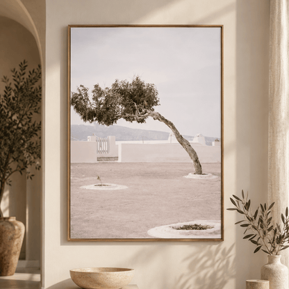 Windswept Mediterranean Tree Canvas Print