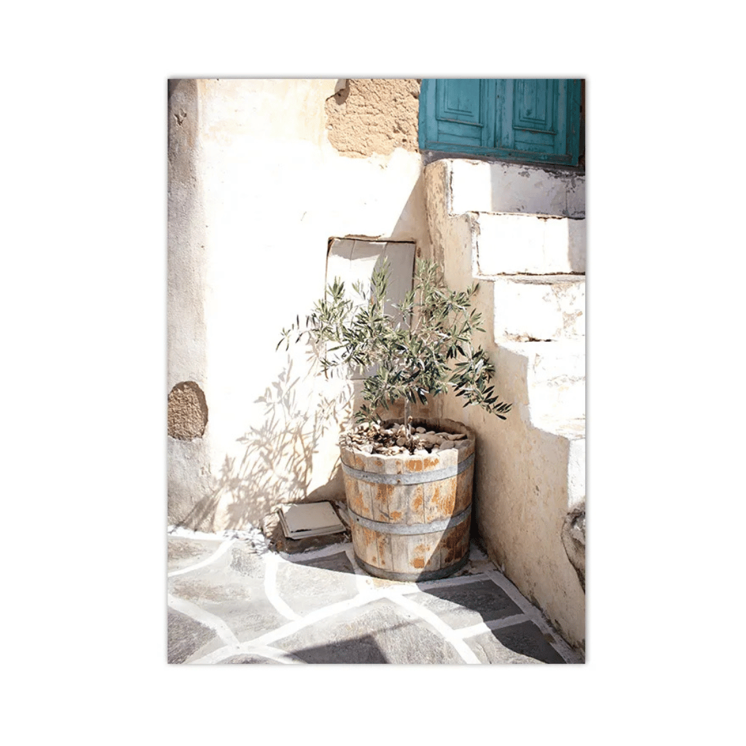 Turquoise Shutters Olive Tree Canvas Print