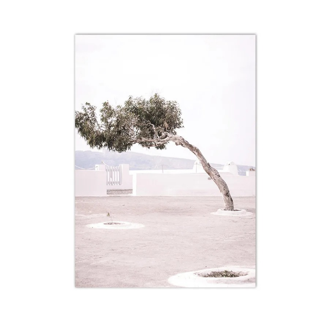 Windswept Mediterranean Tree Canvas Print