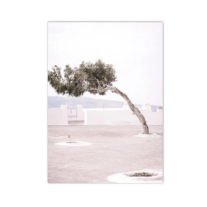 Windswept Mediterranean Tree Canvas Print