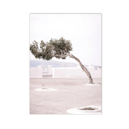 Windswept Mediterranean Tree Canvas Print