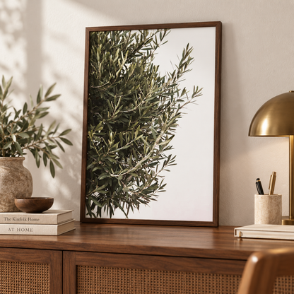 Quiet Olive Branch Canvas Print