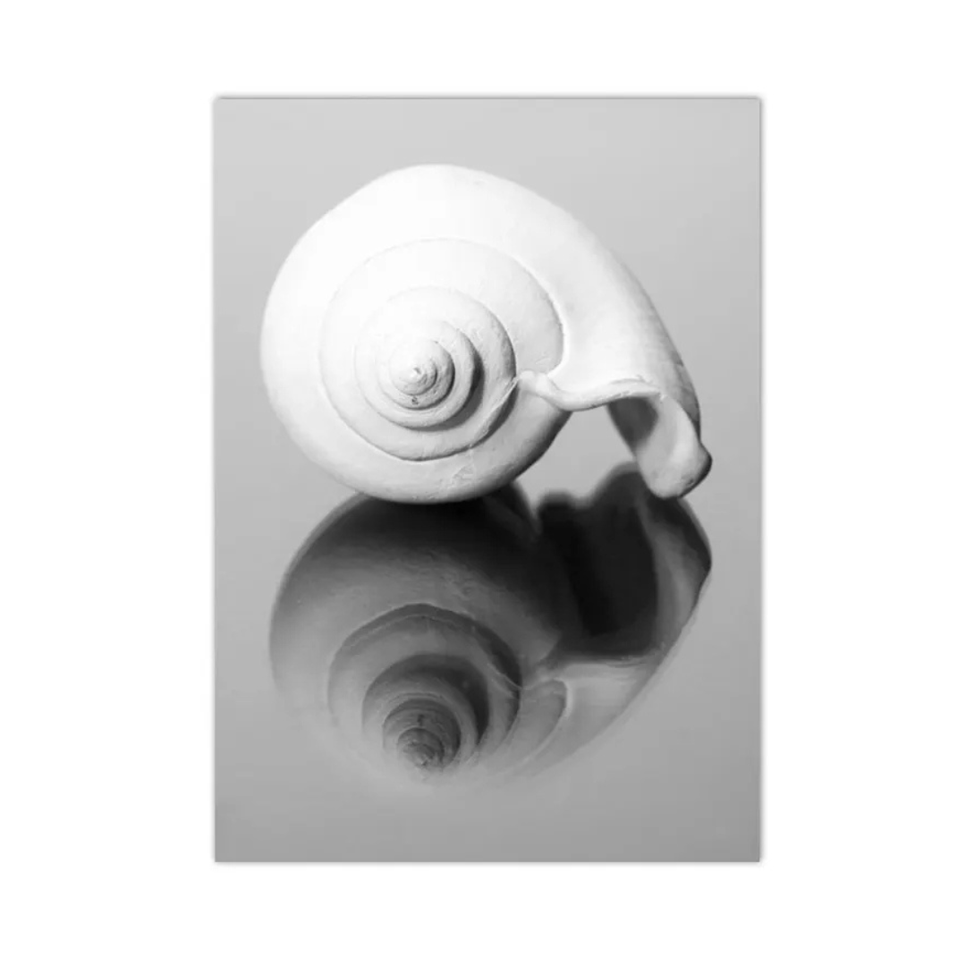 A vertical black and white art print featuring a white spiral seashell resting on a reflective gray surface, shown against a plain white background.