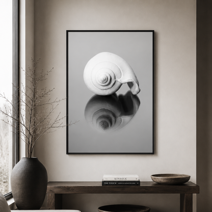 A framed black and white art print of a spiral seashell with its reflection, displayed on a beige wall above a wooden console table with a vase and books.