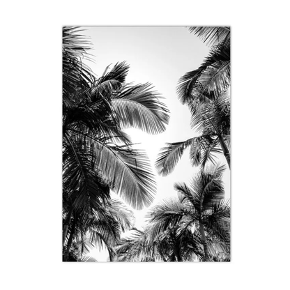 Black and white photographic print of palm tree fronds reaching upward against a bright sky, shown as a rectangular wall art piece on a white background.