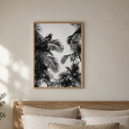 Tropical Canopy Black & White Canvas Print