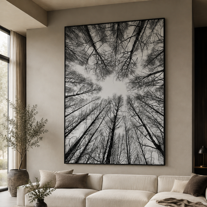 Winter Canopy Black & White Canvas Print