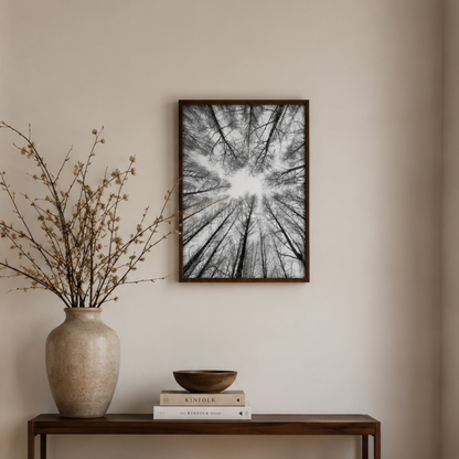 Winter Canopy Black & White Canvas Print