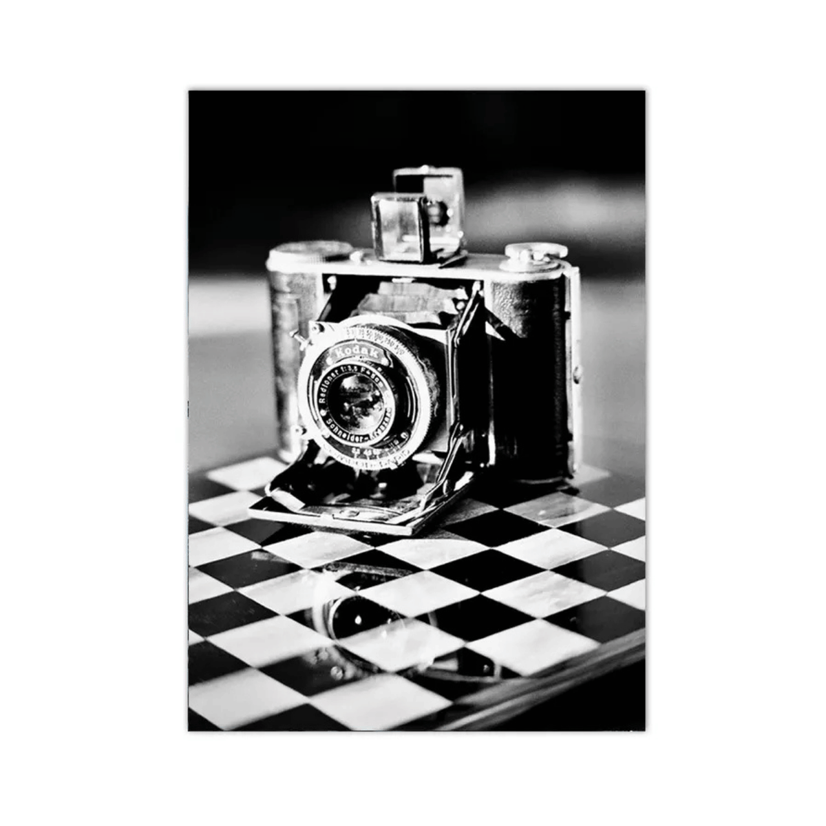 Vintage Folding Camera Canvas Print