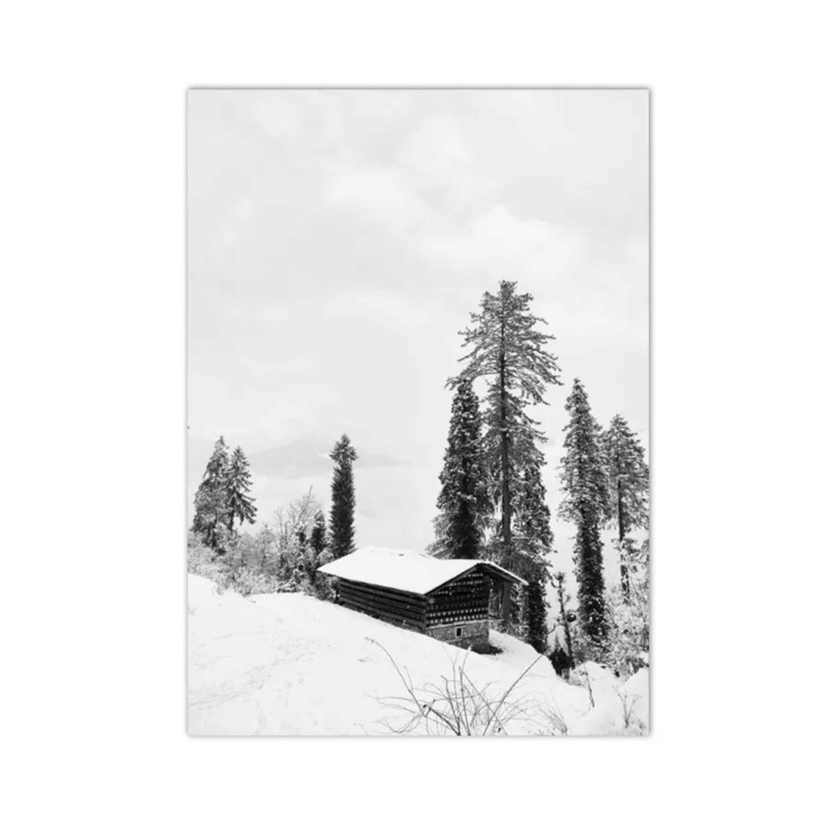 Snowbound Pine Retreat Canvas Print