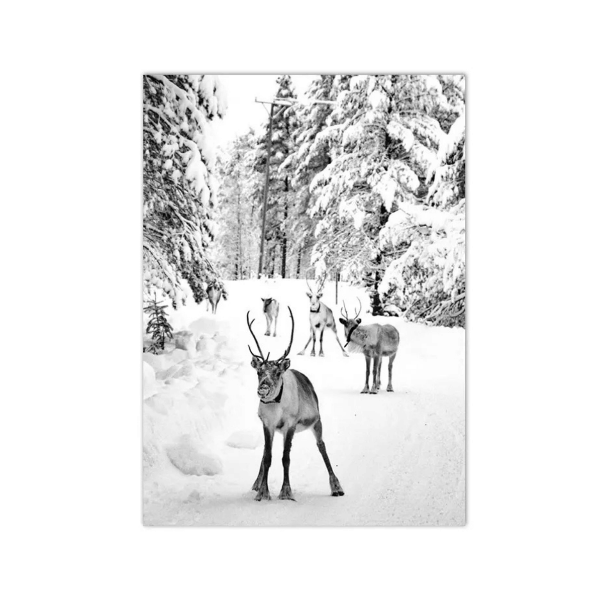 Winter Reindeer Trail Canvas Print