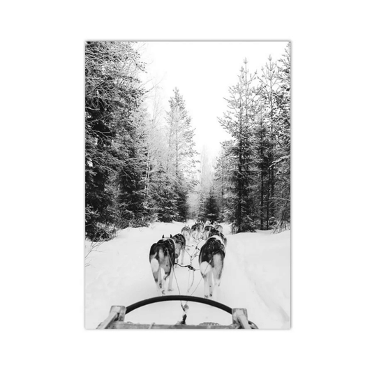 Through The Snowbound Pines Canvas Print