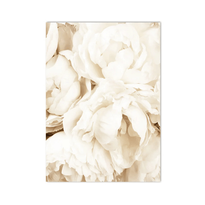 Ivory Peony Petals Canvas Print