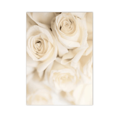 Ivory Rose Reverie Canvas Print