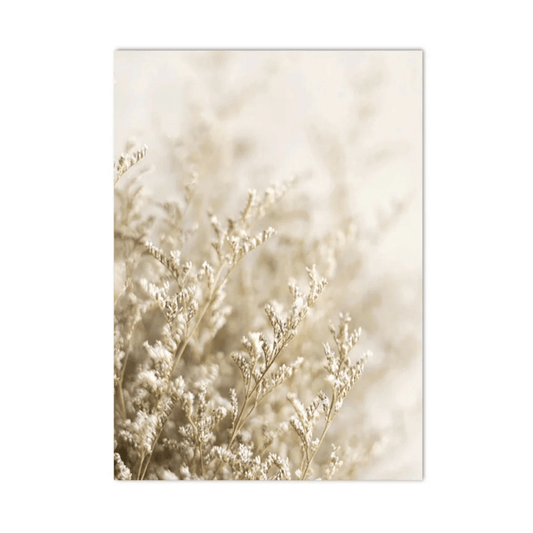 Ivory Meadow Whisper Canvas Print